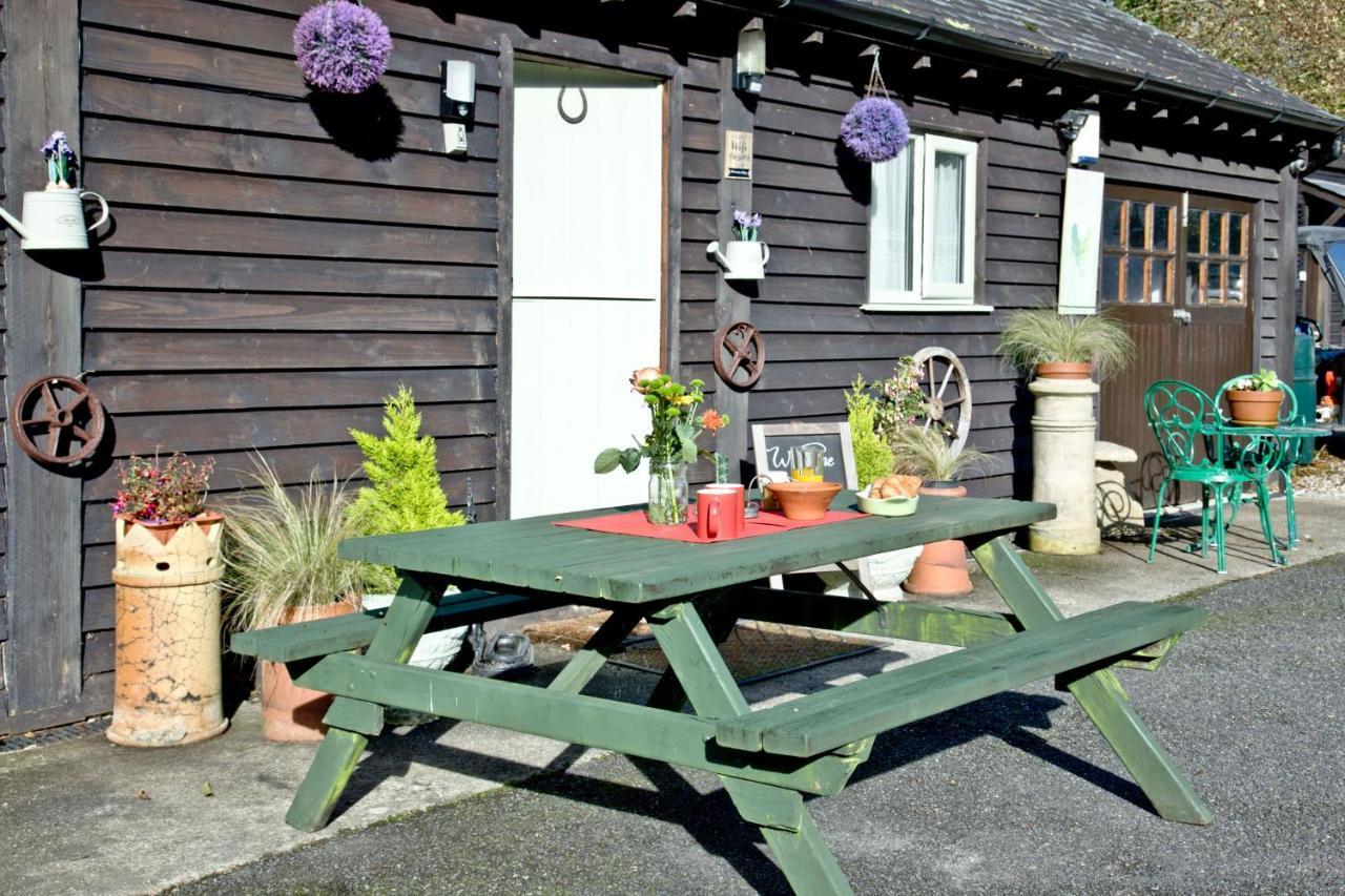 Hill Head View, St Columb Villa St Columb Major Esterno foto
